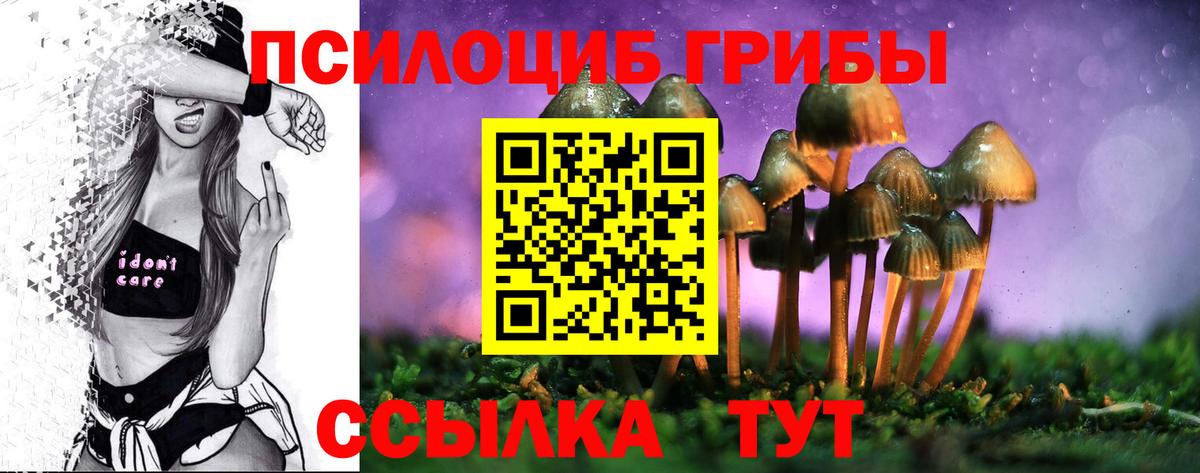 Галлюциногенные грибы Magic Shrooms Павлово