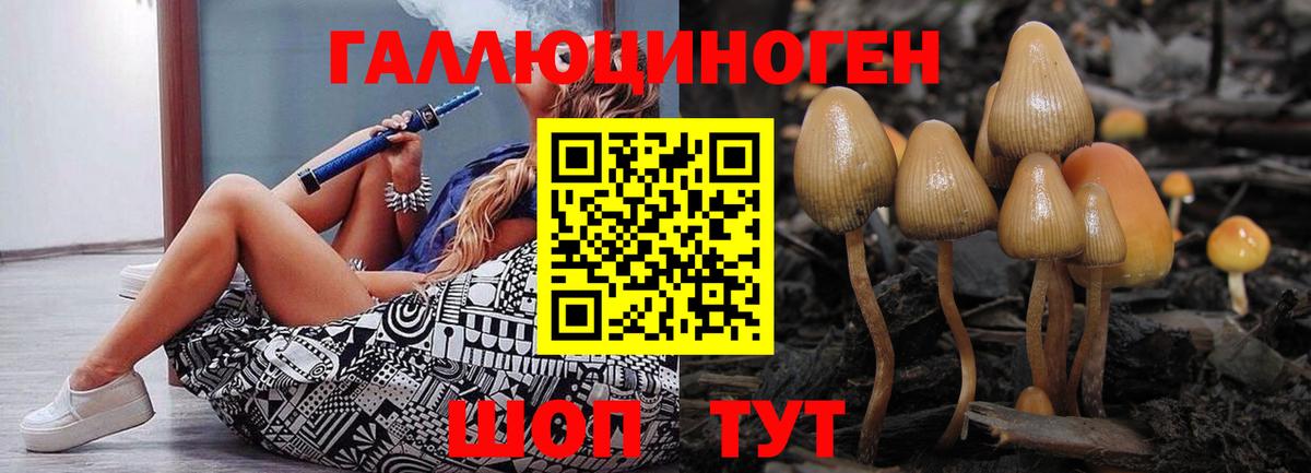 Псилоцибиновые грибы Magic Shrooms  Вход с VPN  Павлово 